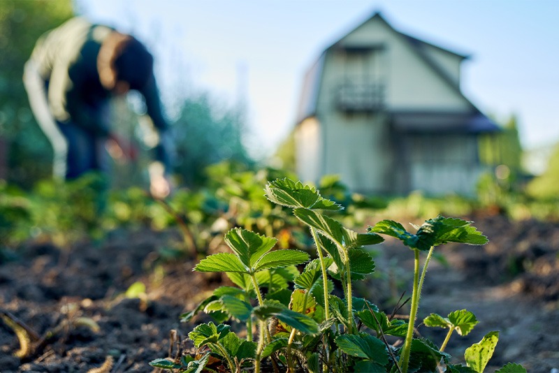 地域を愛する便利屋です